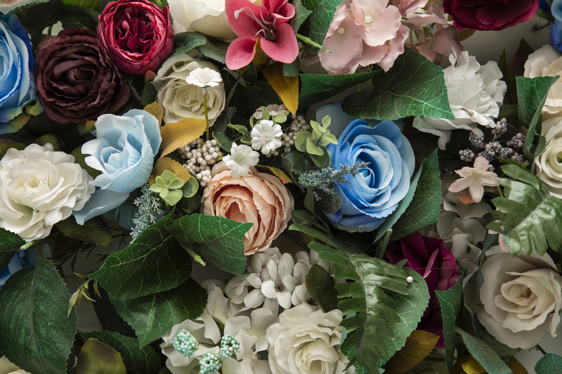 flower-5204901_1920