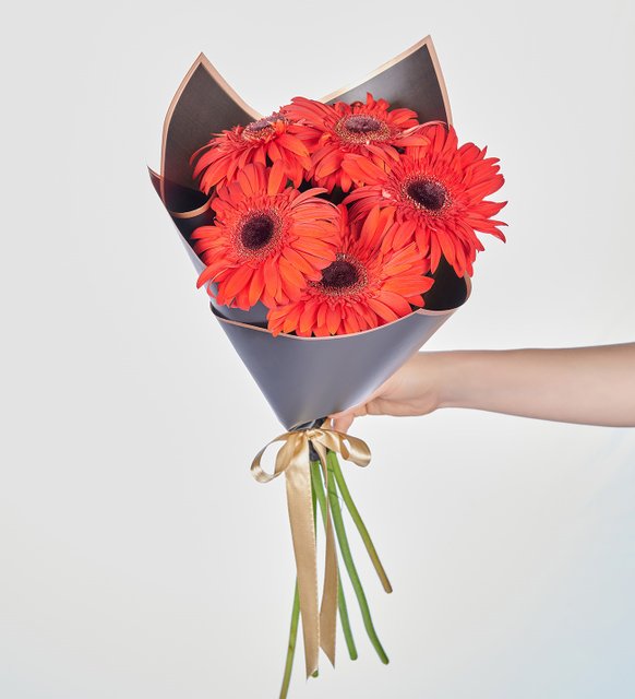 Gerbera