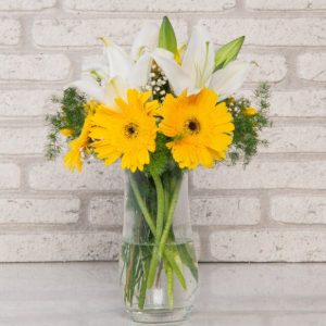 Gerbera
